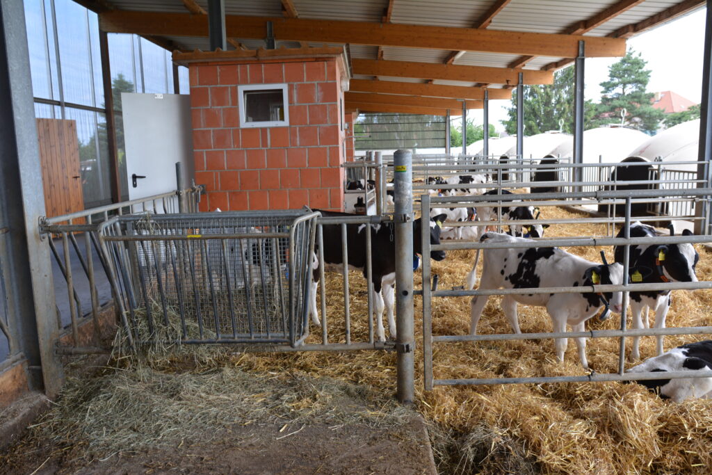 Агритоп посети ферма, оборудвана от Delaval в Саксония 6 dsc 8790 n6uf