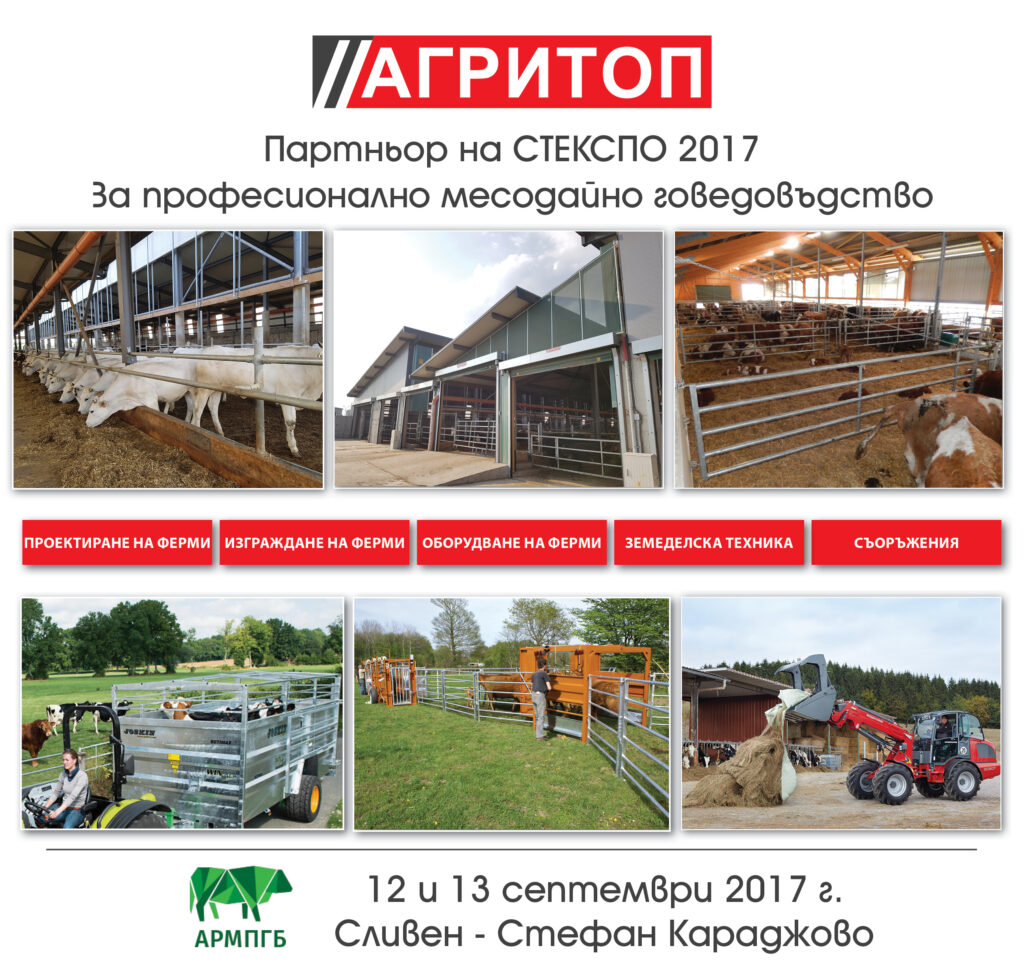 qy6e pic stekspo 2017