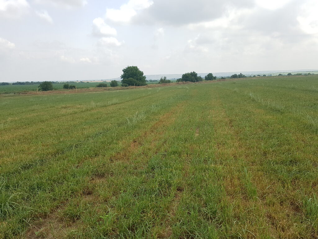 y74n 20180610 125147