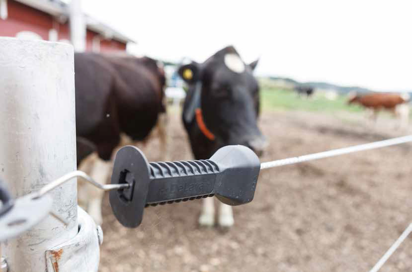 hge6 fencing guide catalogue update lowres 282