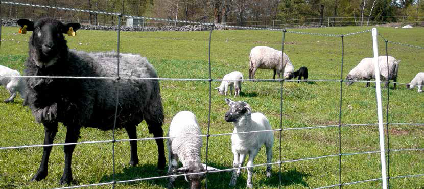 n9mv fencing guide catalogue update lowres 252