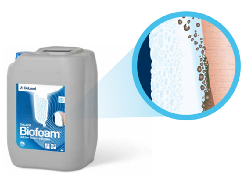 gkvb biofoam 1