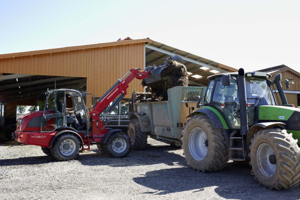 x6zm wm image 4080t krokodilgebiss p3a6505 action
