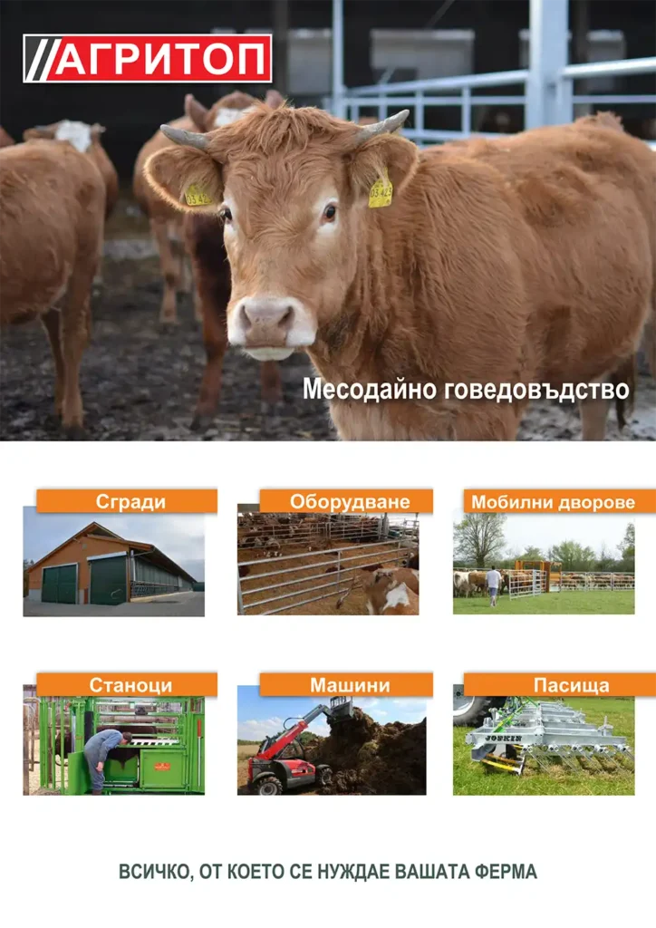 22 cattle agritop 1