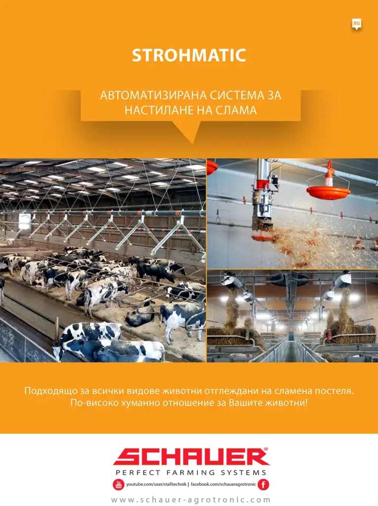 24 schauer nastilane na slama 1
