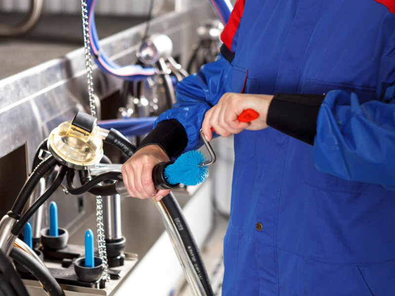 Четки за почистване DeLaval