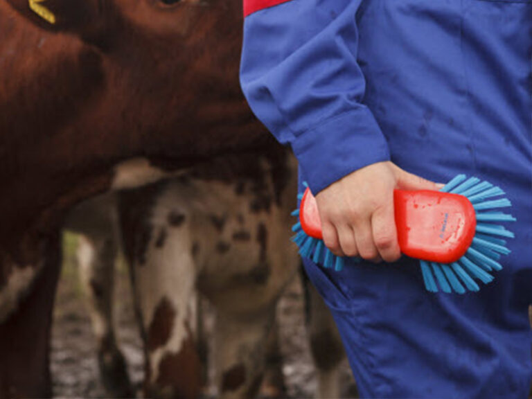 Четки за почистване DeLaval