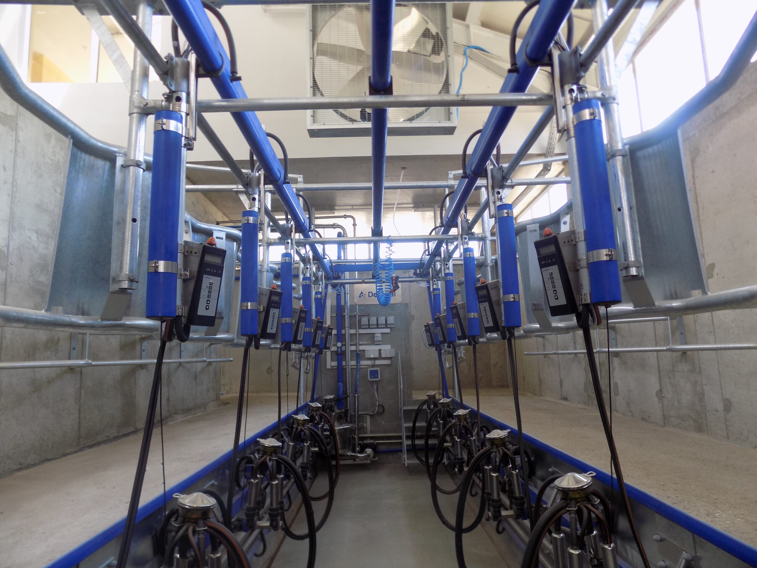 DeLaval Рибена кост 30°