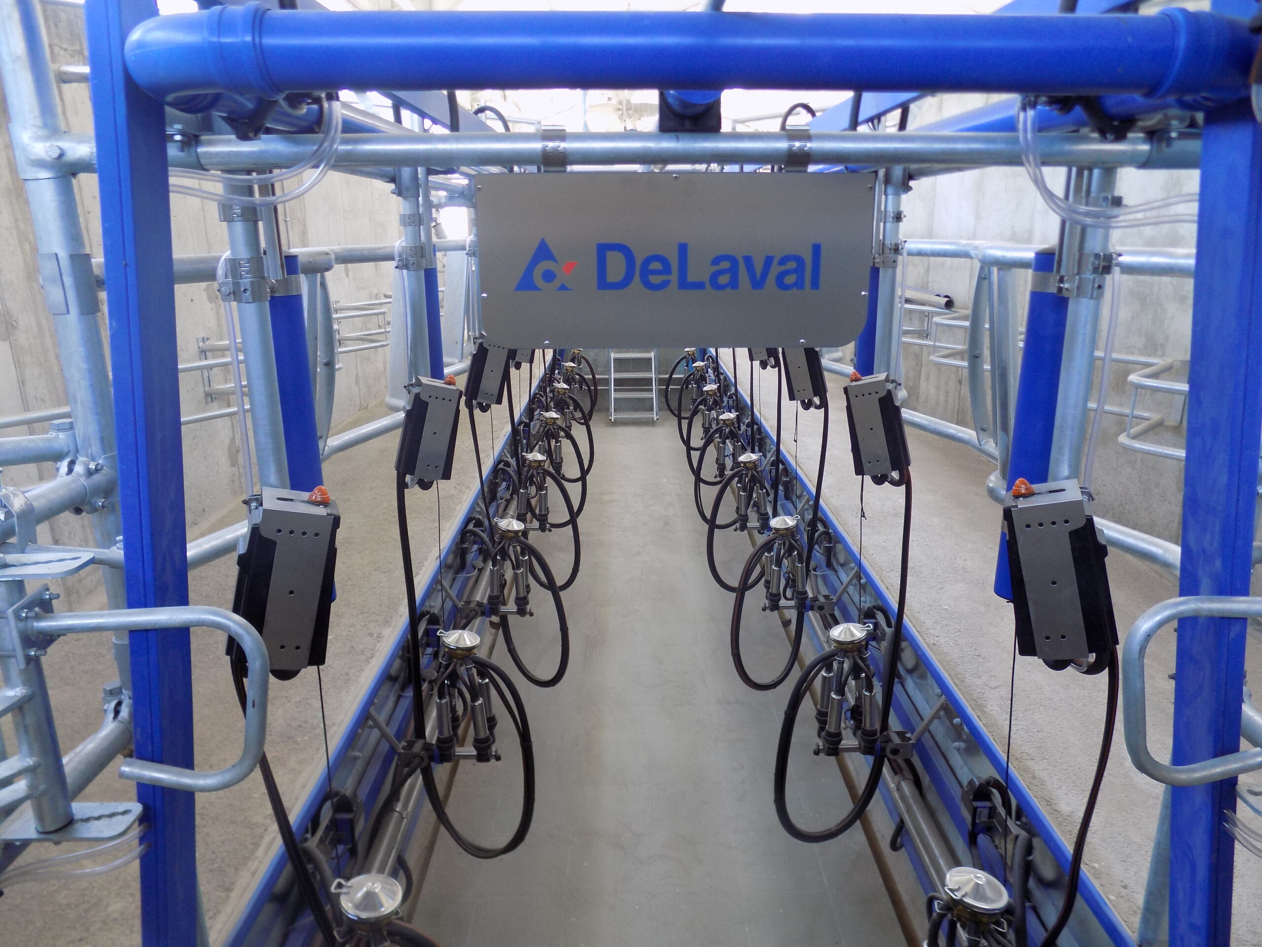 DeLaval Рибена кост 30°