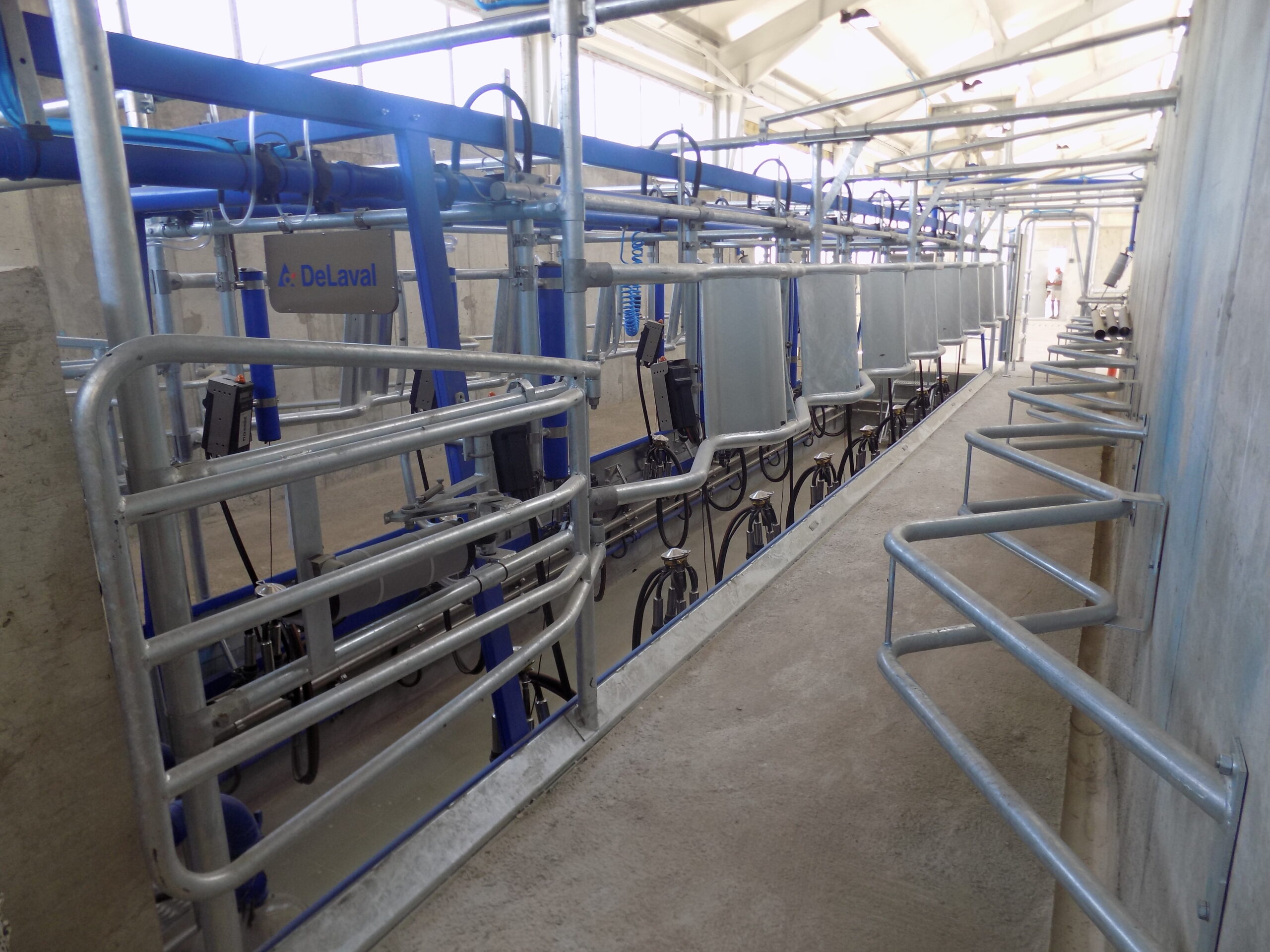 DeLaval Рибена кост 30°