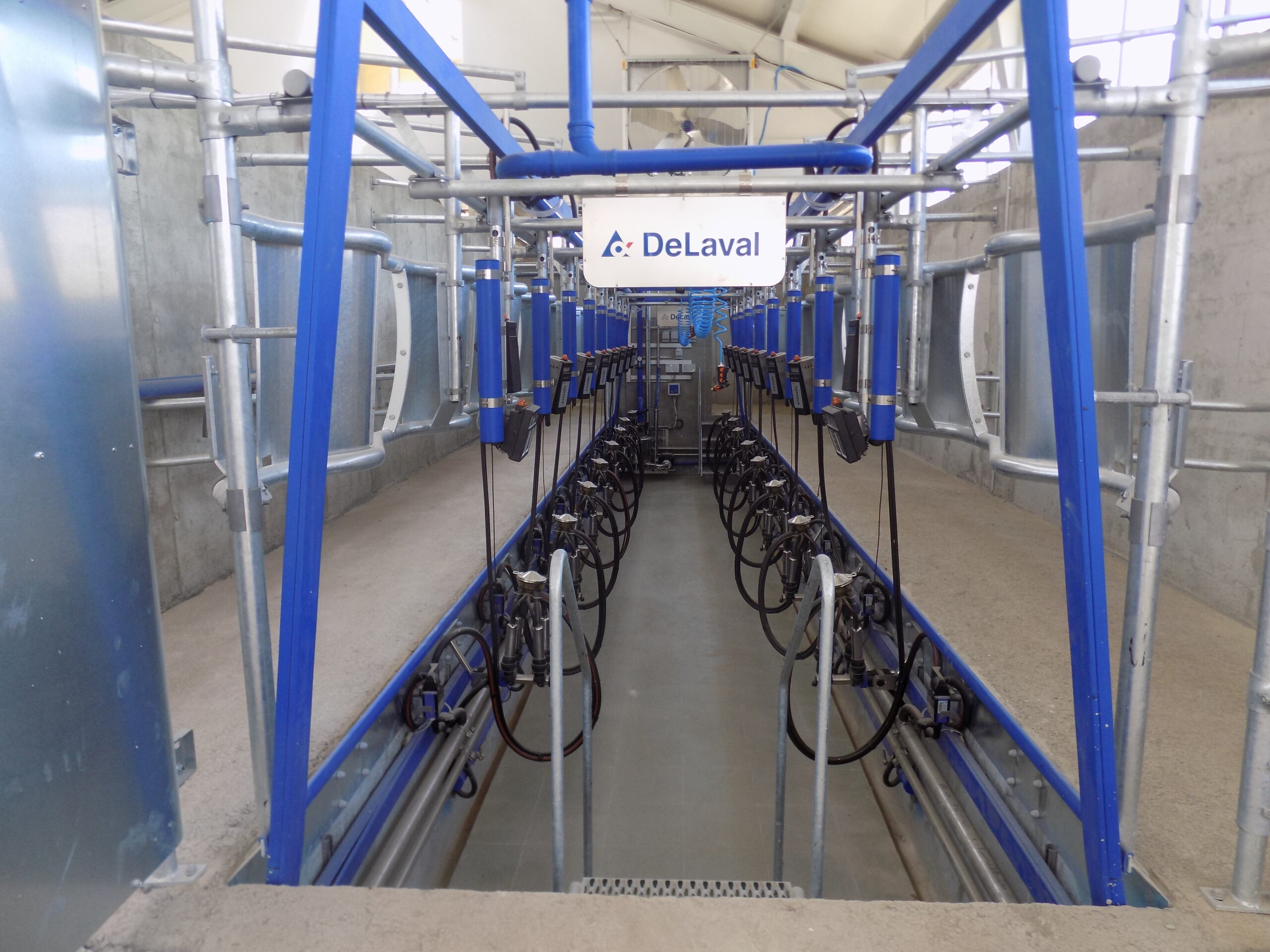 DeLaval Рибена кост 30°