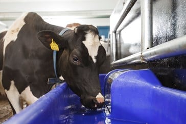 Коритни поилки DeLaval T400