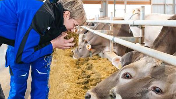 delaval milk solids analysis