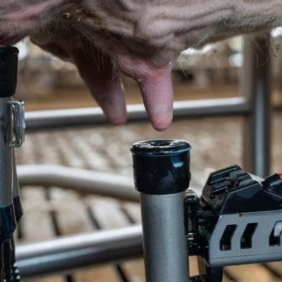 delaval vms 07