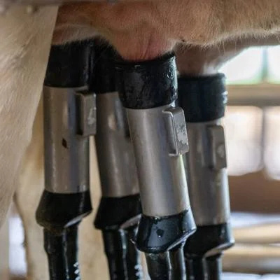 delaval vms 08