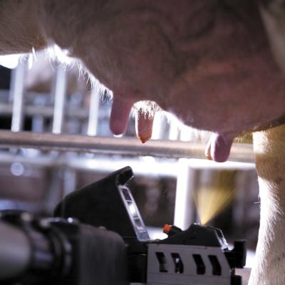 delaval vms 11
