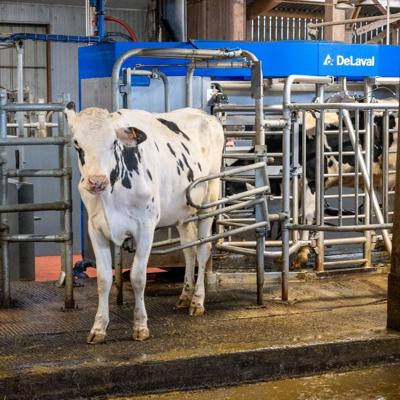 delaval vms 12