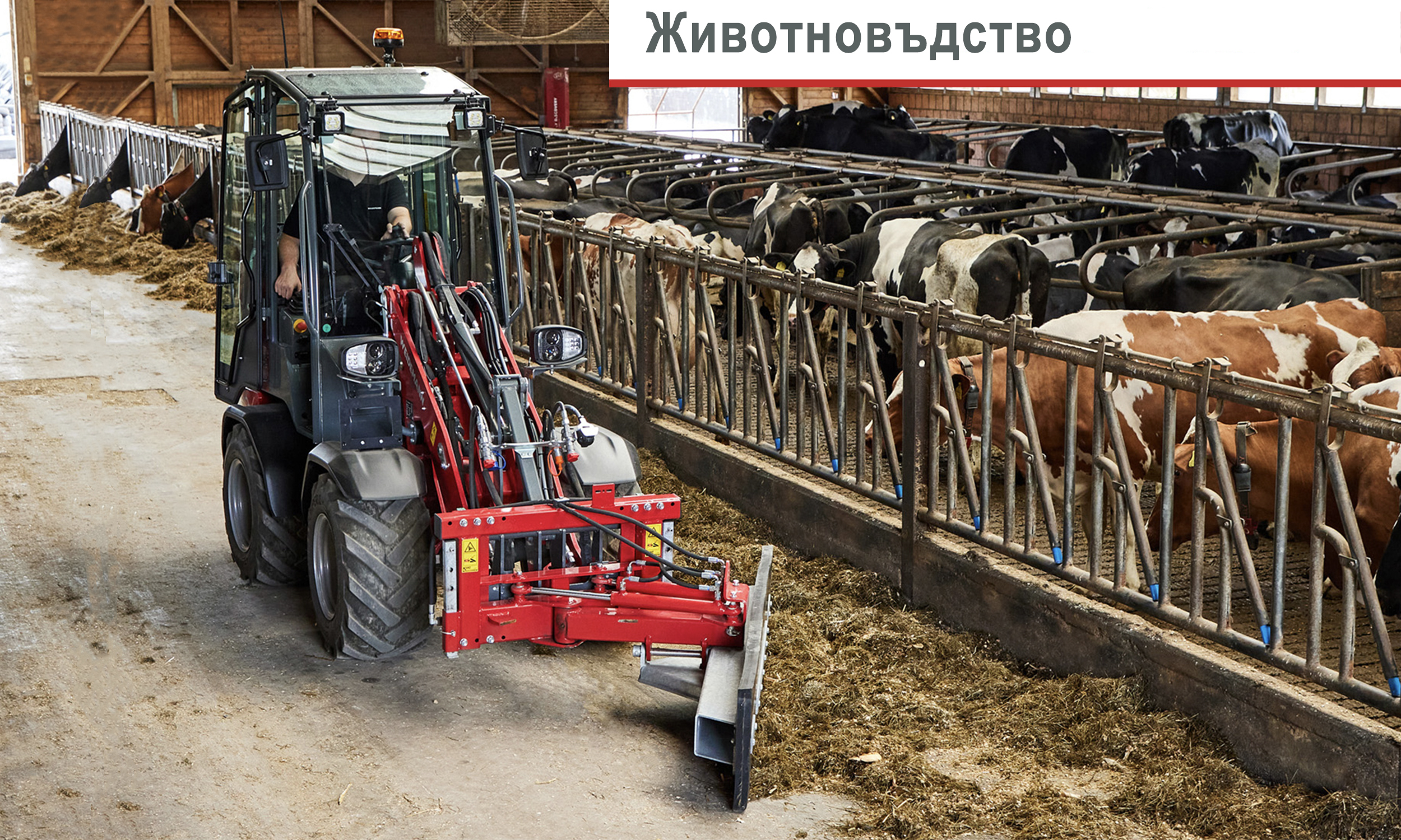 Животновъдство